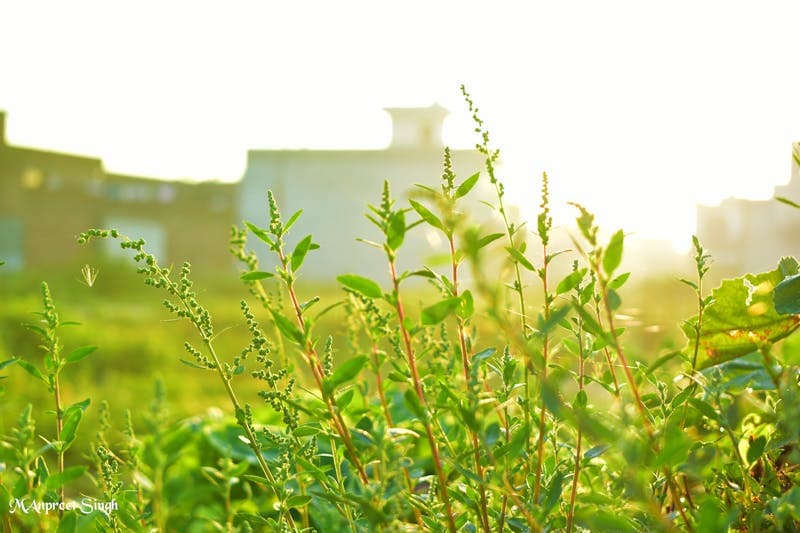Person standing on a cliff edge at sunrise, symbolizing resilience and starting over
