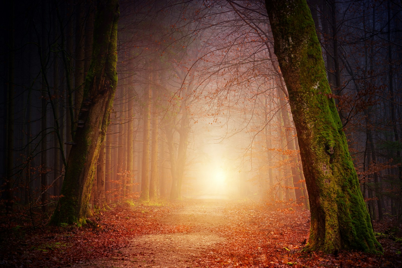 Lone figure walking a misty path at sunrise, symbolizing the discipline of monk mode